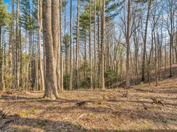 TBD Private Drive, Sugar Grove, NC 28679