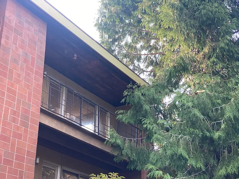 6515 4th Ave NE #3 — Photo 6