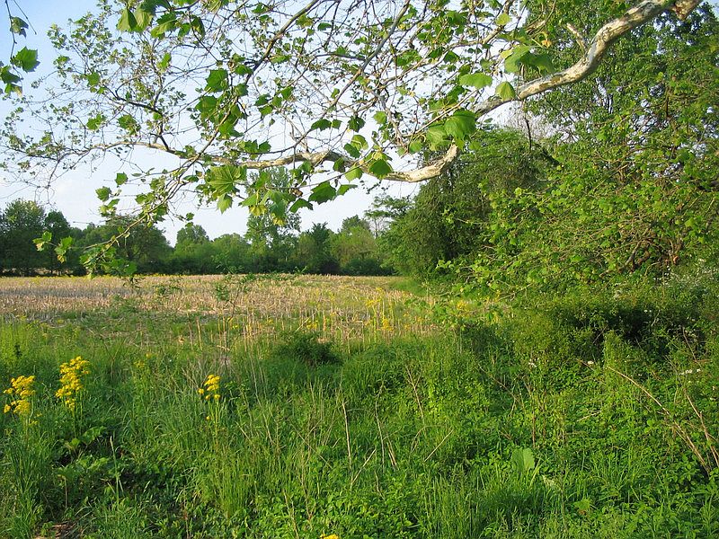 view from south
						:
						this is from the southern tip of the triangle looking north