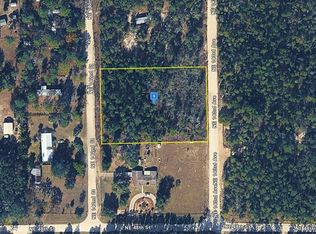 4955 NE 142ND CENTER LOT 4, WILLISTON, FL 32696