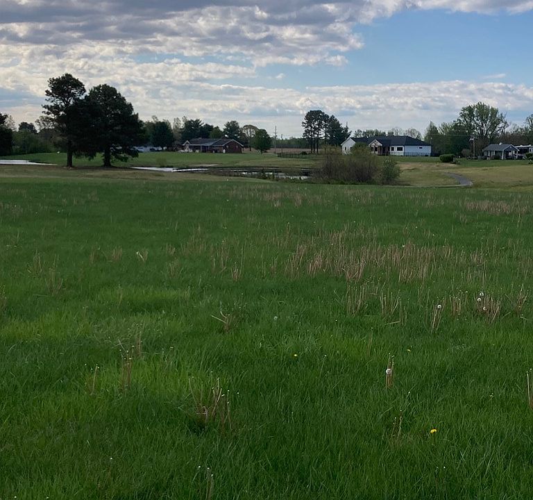 2nd image of 12 Quinton Oaks Ln