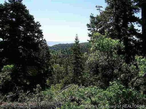 2nd image of 78 W Elk Rd #78-PI-G