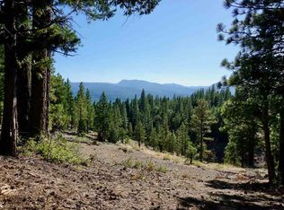 69133 Porcupine Rd, Blairsden Graeagle, CA 96103