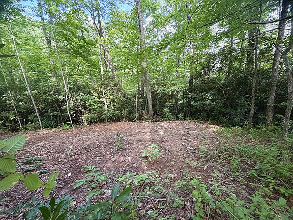 2nd image of 0 State Route 1240 Sawyers Creek Rd