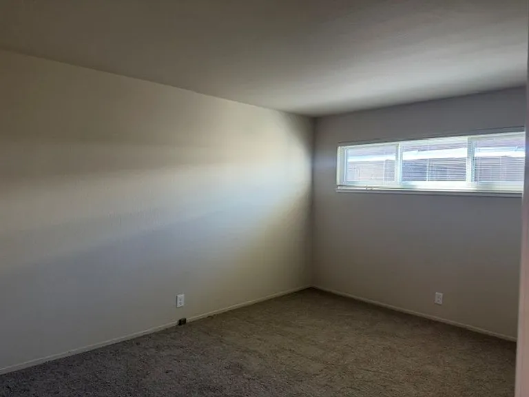 CARL2162 — Photo 11