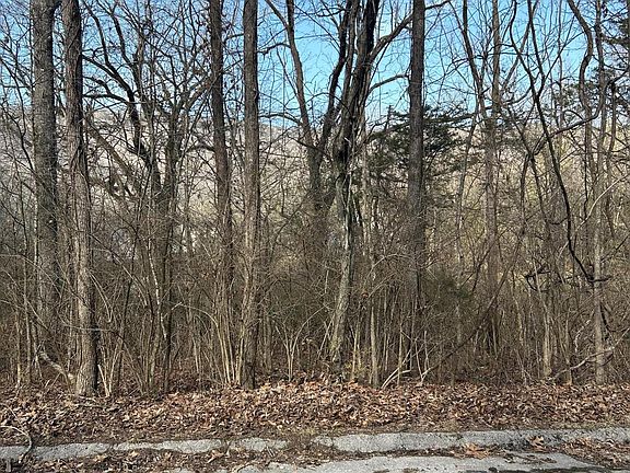 3rd image of LOT 1 Lamont Ln