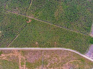 Joyner Swamp Rd, Galivants Ferry, SC 29544