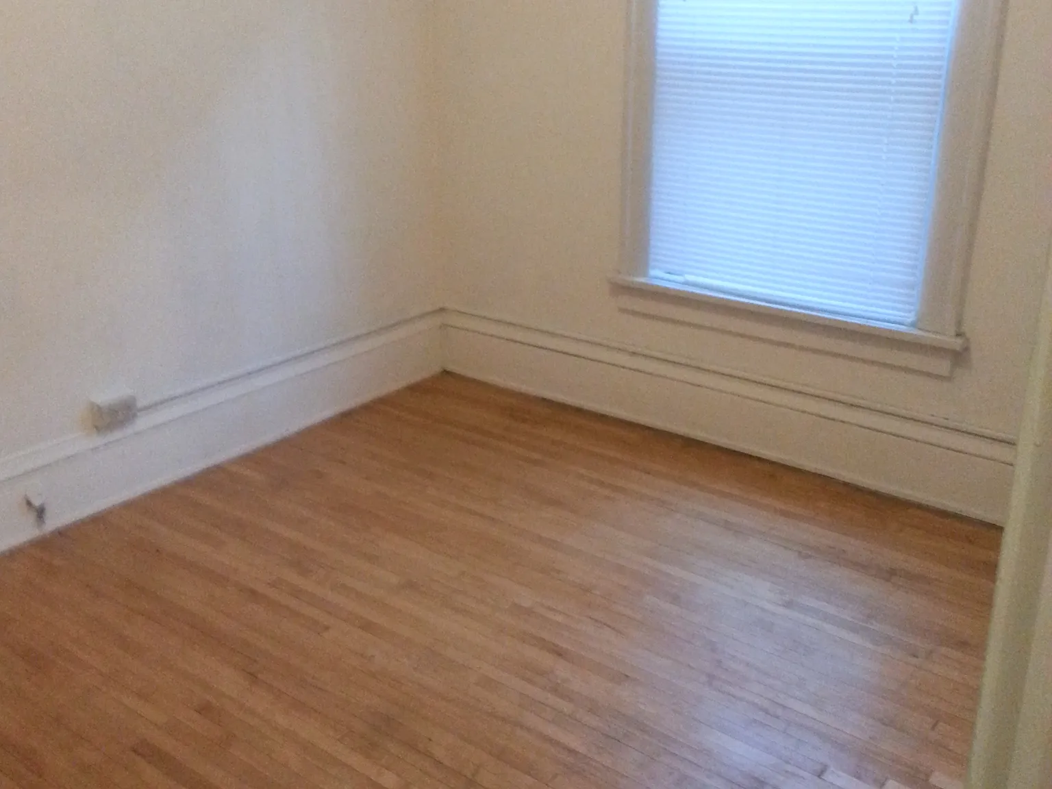 1 bed, $1,099 — Photo 4