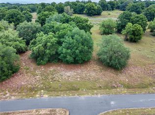 3627 Monument Ln, Minneola, FL 34715