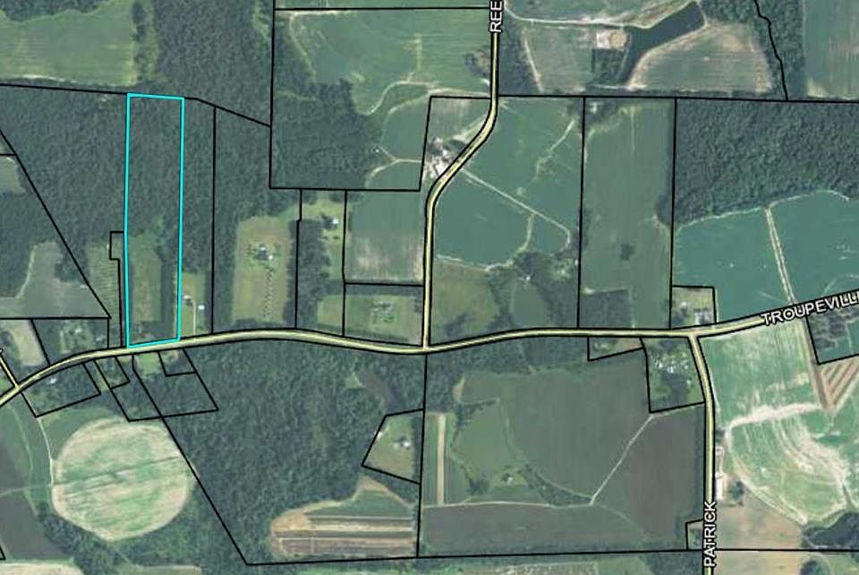 0 Troupeville Rd, Quitman, GA 31643 MLS 128950 Zillow