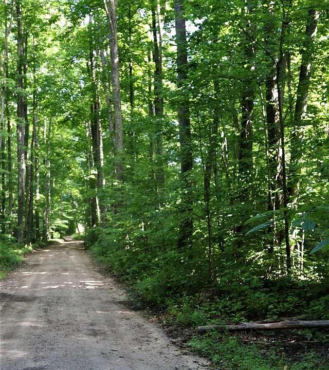1st image of Partridge Ln