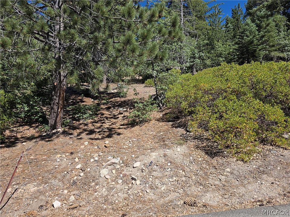 2nd image of 2419 Pine Dr
