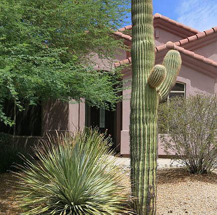 2nd image of 10370 E Acoma Dr