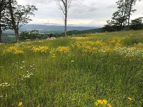 2nd image of 184 Overlook Ln