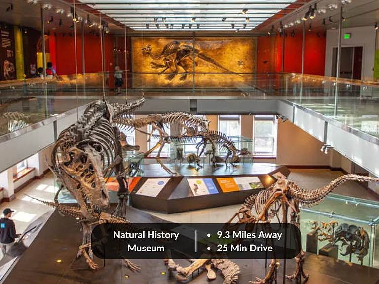 Nearby Attraction