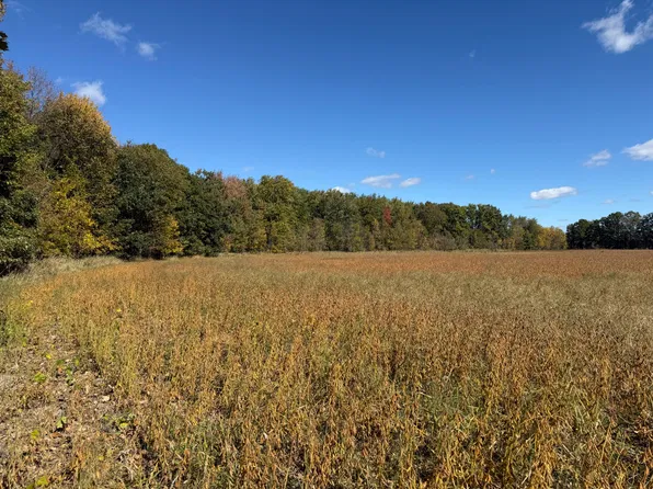 2867 Capac Rd, Allenton, MI 48002