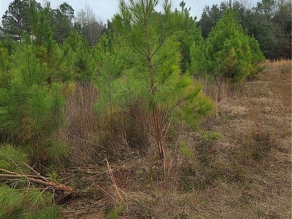 4th image of 861 Brinson Road