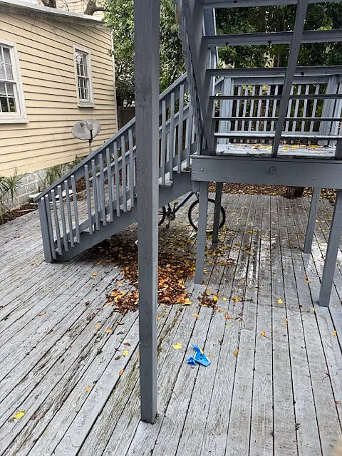 14 Felix St — Photo 2