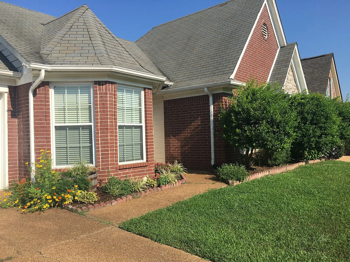 Charming Cordova home off Houston Levee. Huge fenced in back yard! — Photo 3