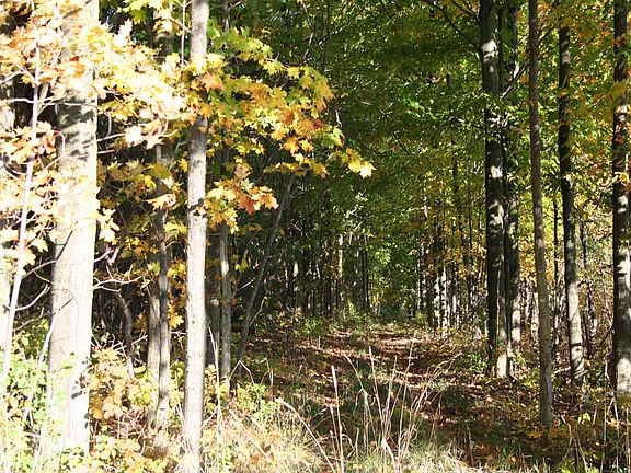 3rd image of Pine Hill Road