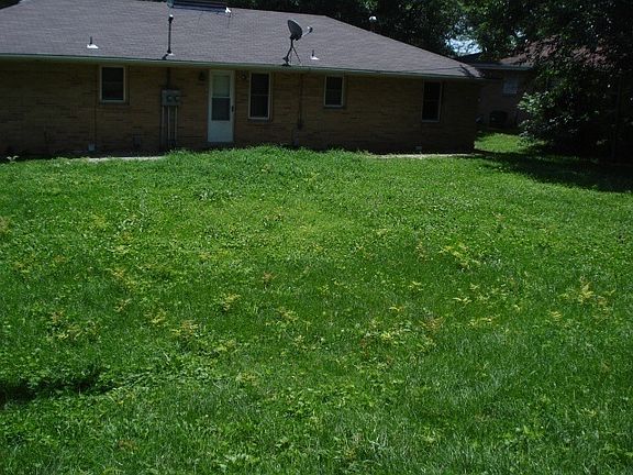 back yard