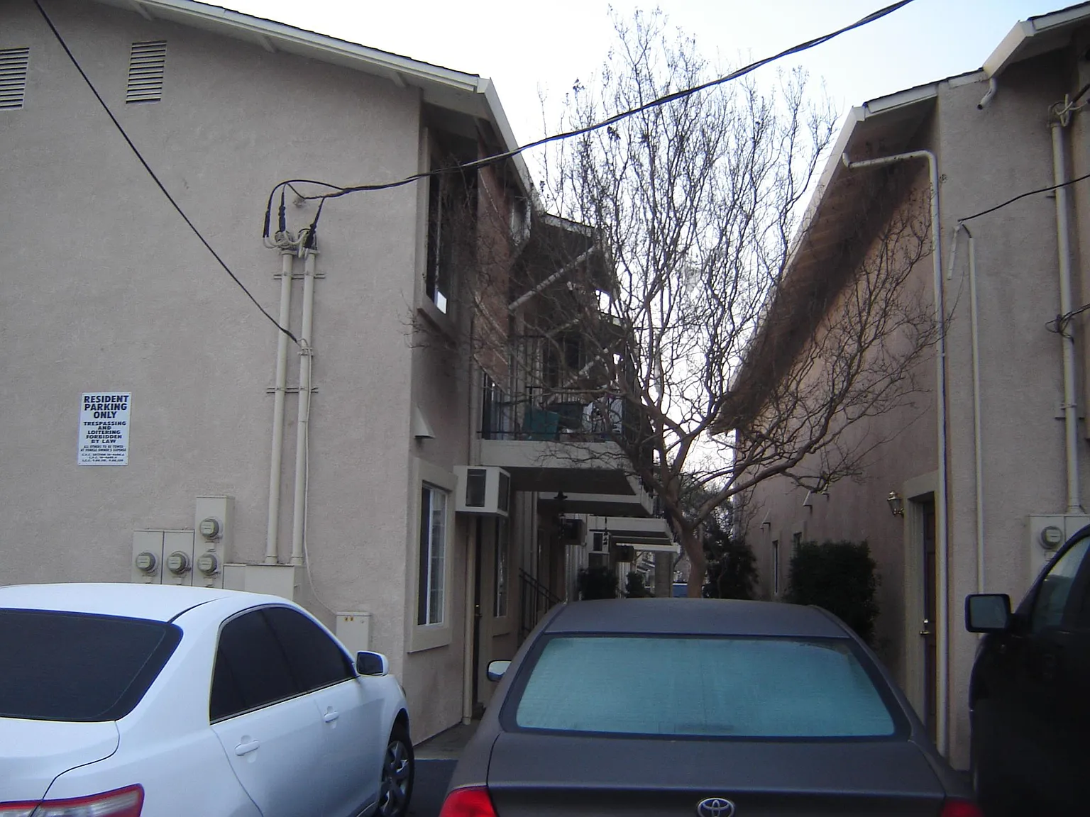 1 bed, 650 sqft, $1,325 — Photo 3