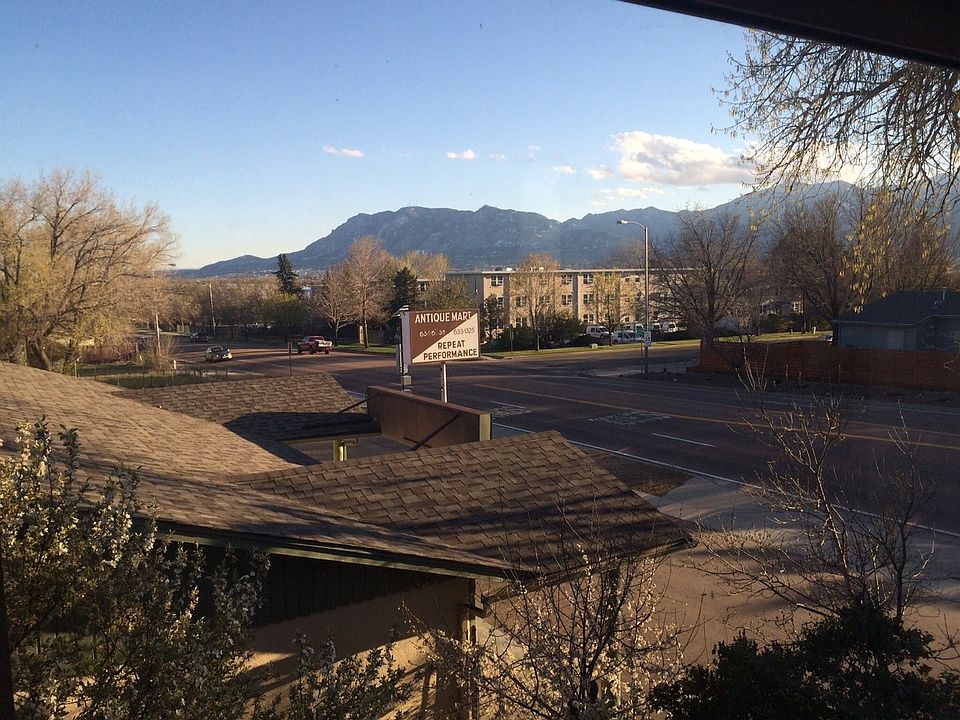 The view.