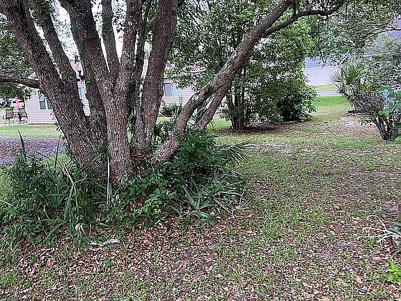 2nd image of 10714 SE 174th Pl