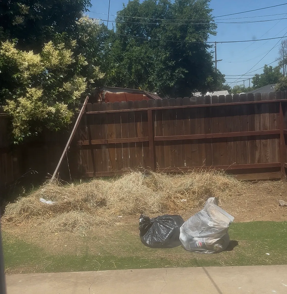 Studio, 500 sqft, $795 — Photo 4