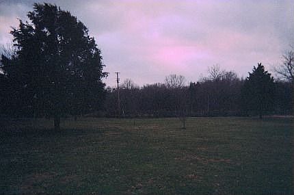 Back yard