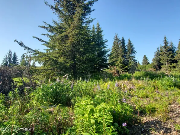 17589 Chefornak St, Ninilchik, AK 99639