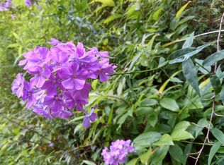 Williamson Rd, Whittier, NC 28789