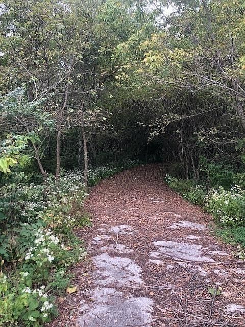 1st image of 6805 Us Highway 127 N Lot 7