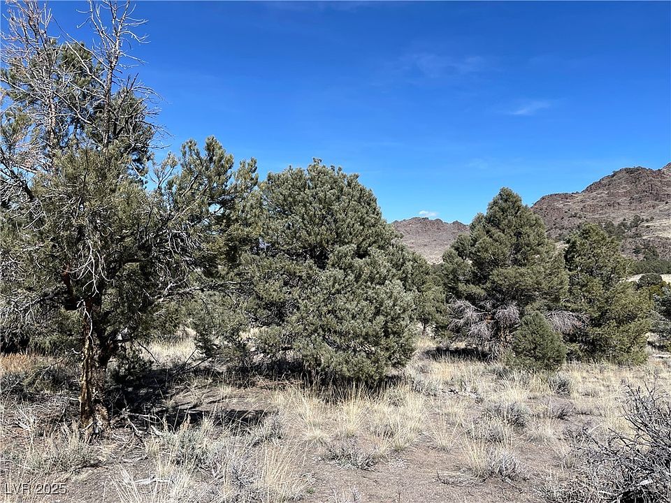 2nd image of P 15 Butte Valley