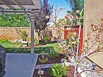 5th image of 12919 Dolomite Ln