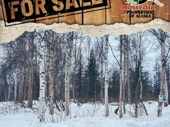 L2-B4 Teaberry Ave, Kenai, AK 99611