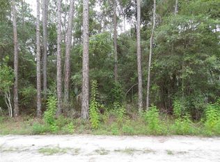 NE 234th Pl LOT 2, Fort Mc Coy, FL 32134