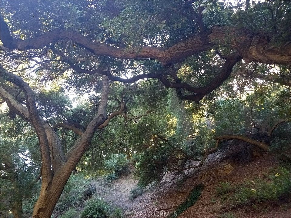 2nd image of LOT 22
