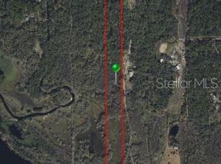 1243 Gee Whiz Ln, Osteen, FL 32764