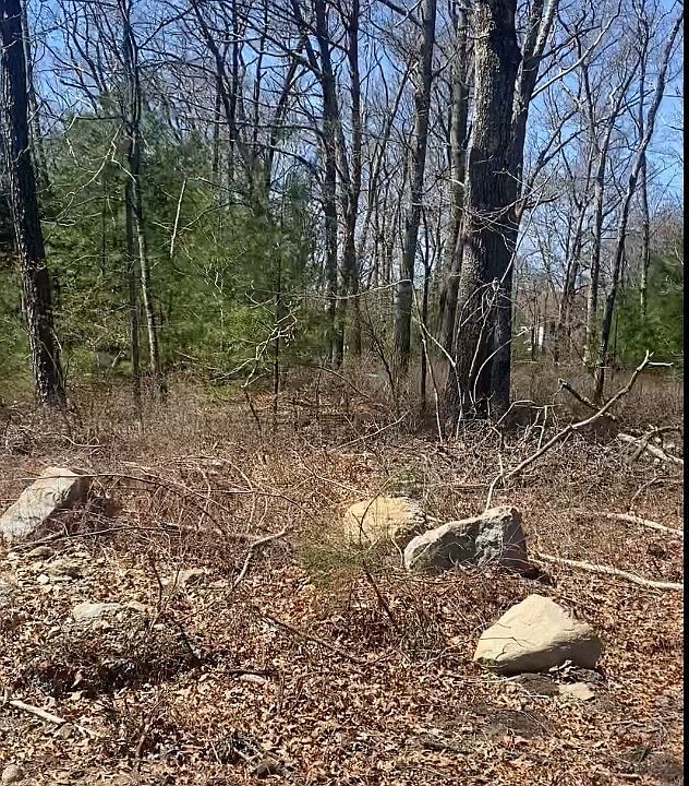 2nd image of 8 Matts Way