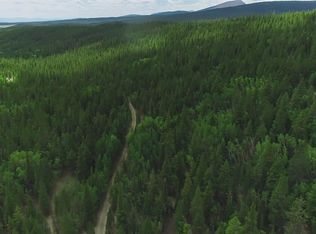 183 Lewsader Rd, Alma, CO 80420