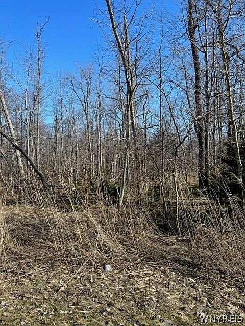 2nd image of 0 Wilson Ave #11