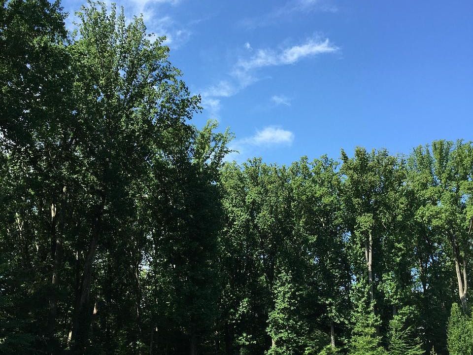 View from front of lot