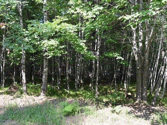 3rd image of 8704 Birchwood Cir Lot 3