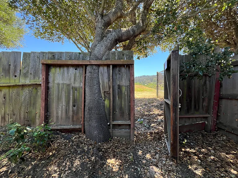 4067 Wesley Way — Photo 28