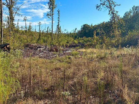 2nd image of Old Houston Rd