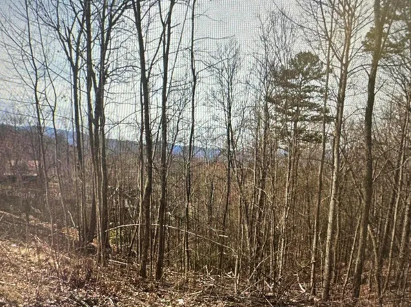 1921 Battle Top Rd, Sevierville, TN 37876
