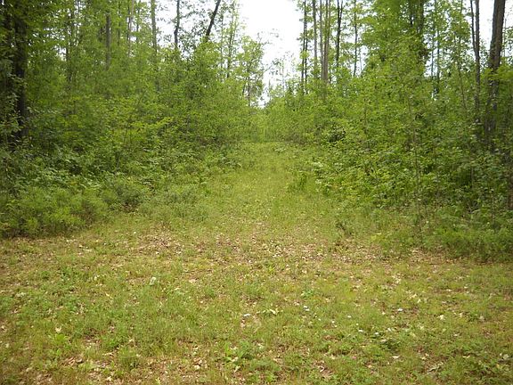 4th image of 1601 Allard Acres Road Parcel #12