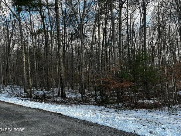 LOT 3 Evergreen Dr Lot 3, Oneida, TN 37841