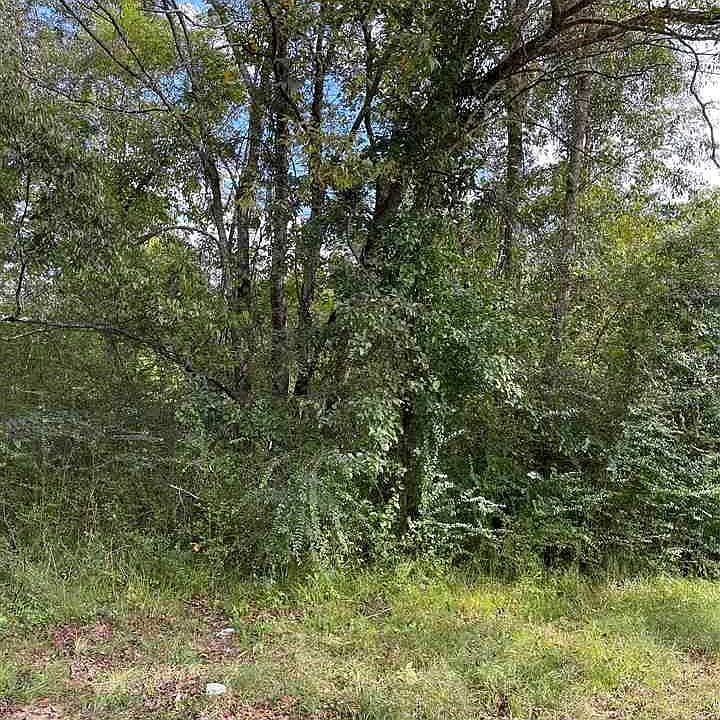 2nd image of 2990 Watkins Dr SE